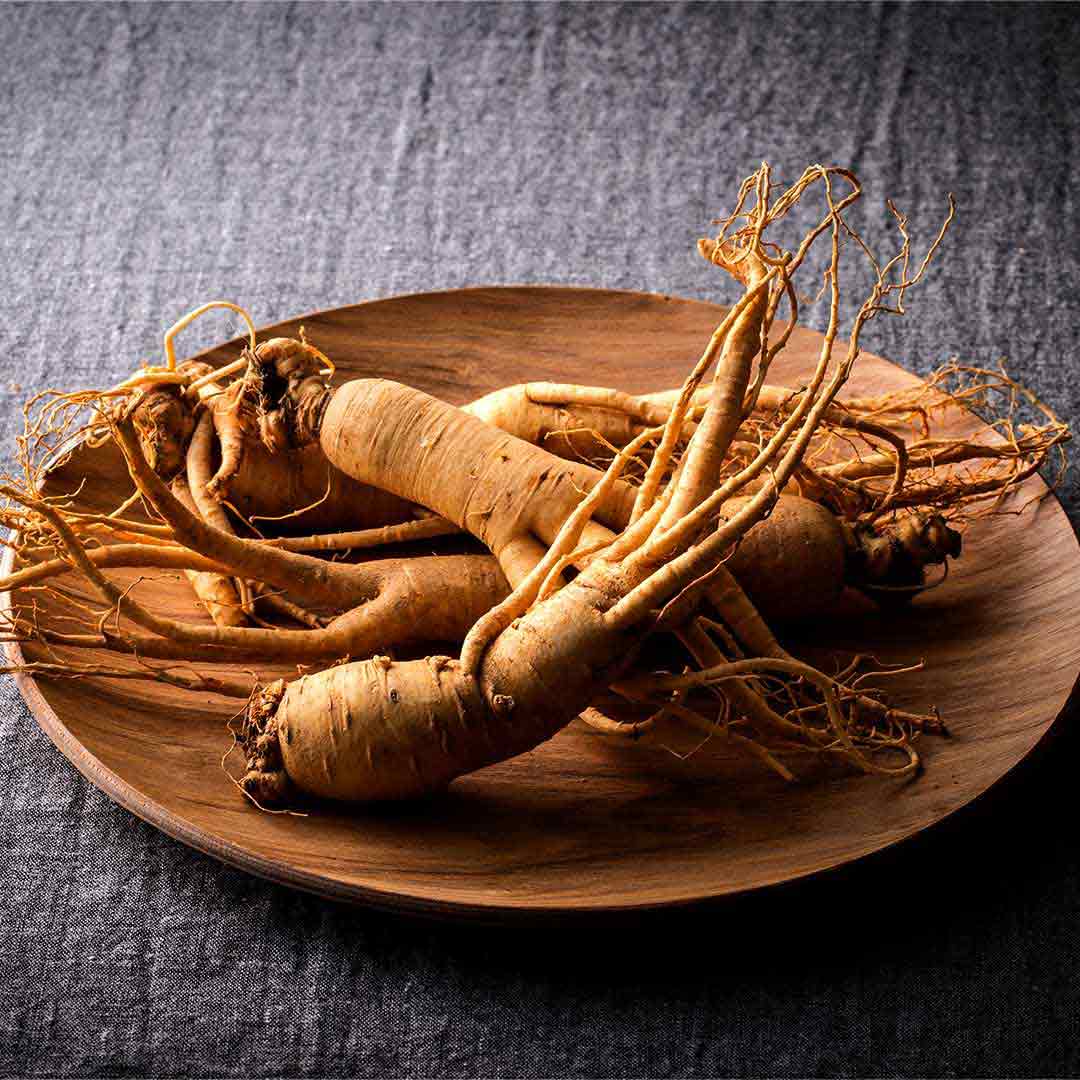 悠久の高麗人参